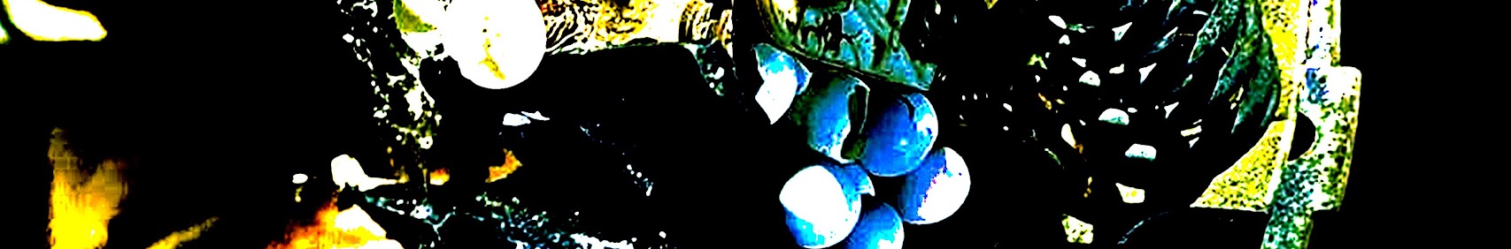Vicstradamus Banner